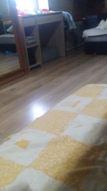 1000025705.mp4