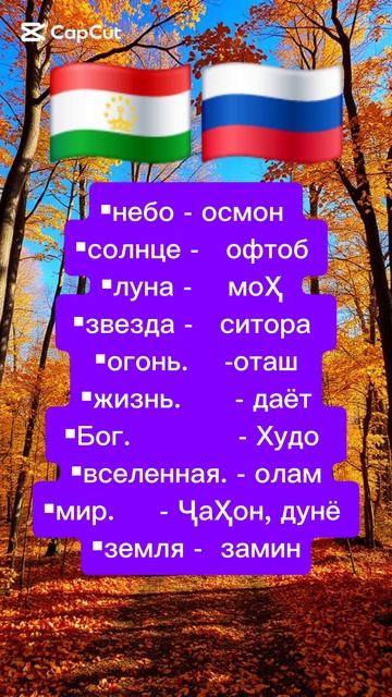 руский таджикиский силовар 🇷🇺 🇹🇯