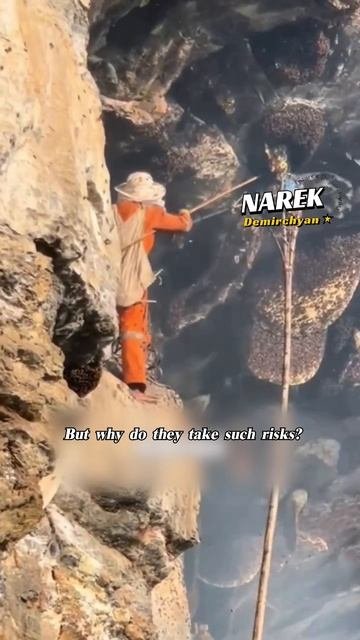 Մեղր որ կարող է ձեզ խելագարեցնել Honey That Can Drive You Mad