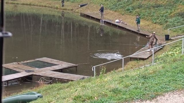 Forest Fishing 11.10.25