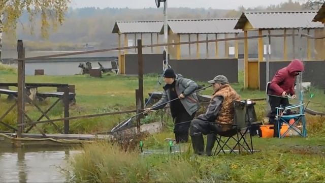 Отчет о рыбалке за 11 октября 2025