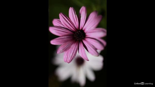 04_05_MM30_Дополнительно