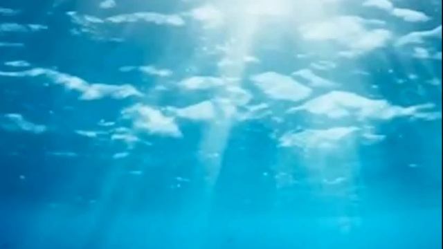 приключение круглых стран. серия 9. динозавры
