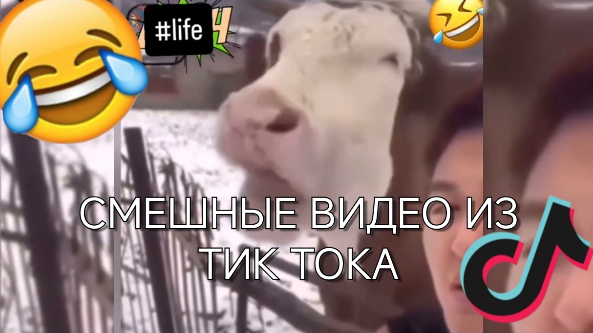 ПОПРОБУЙ НЕ ЗАСМЕЯТЬСЯ 🤣🤣 | САМАЯ СМЕШНАЯ НАРЕЗКА 😂😂🤣