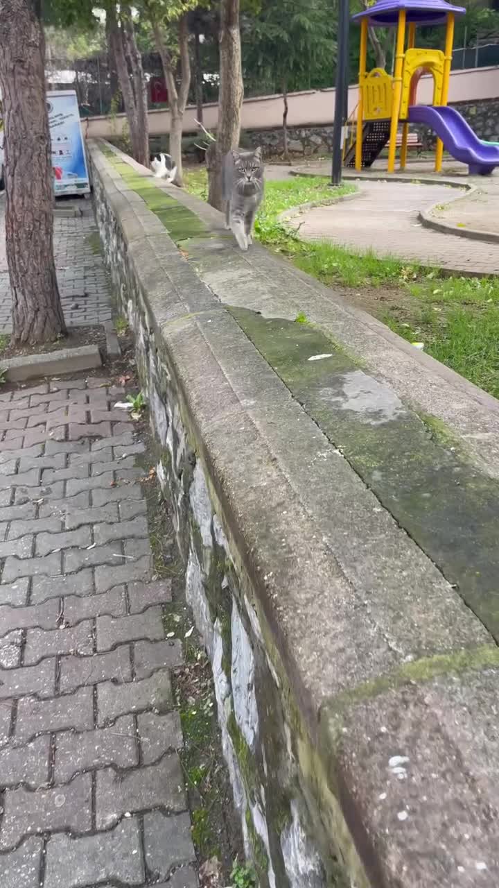 Приехала новая партия поглаживаний🤩😇