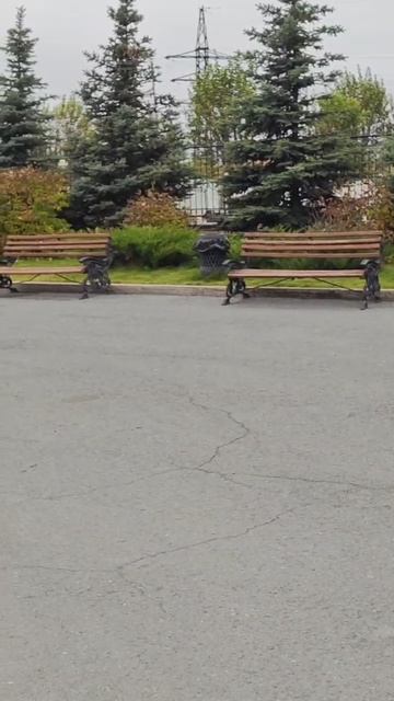 Ездила за сыном в Кадетку