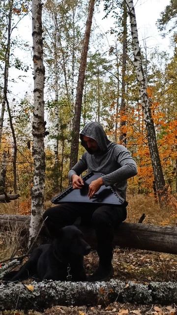 Song From A Secret Garden на гуслях #кавер #secretgarden #folk #folkmusic #гусли #instrumentalmusic
