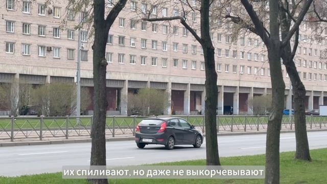 Кто в ответе за Пропилеи Купчино?