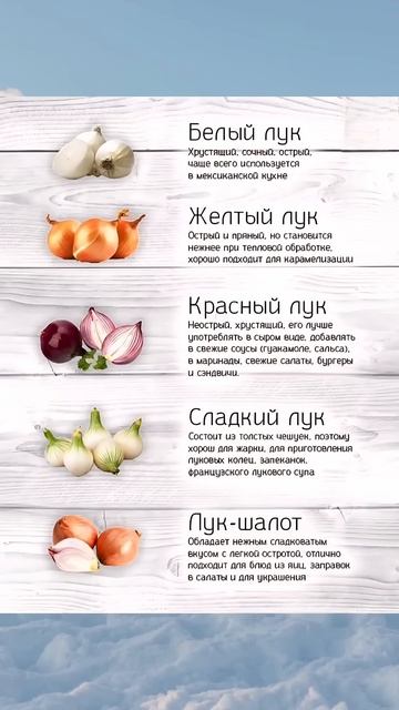 Какой лук для чего использовать. Советы профессионалов