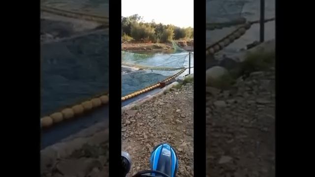 прикольно