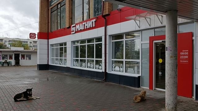 Городище пл. Стал.Битвы 4