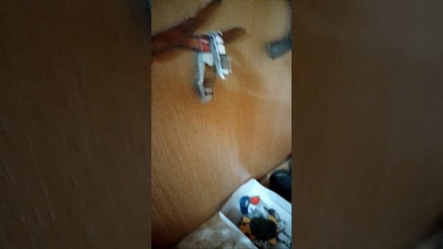 Я вернулась🤗: вайти дог