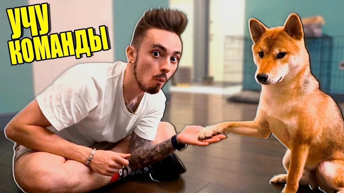 МОЯ Собака Впервые УЧИТ Команды!