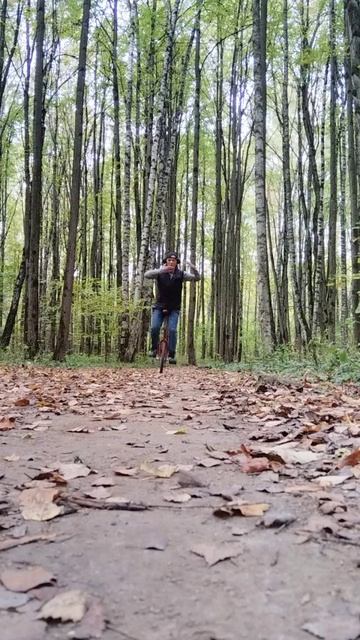 Укрощение уницикла