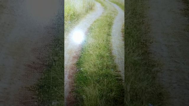 1000000576.mp4
