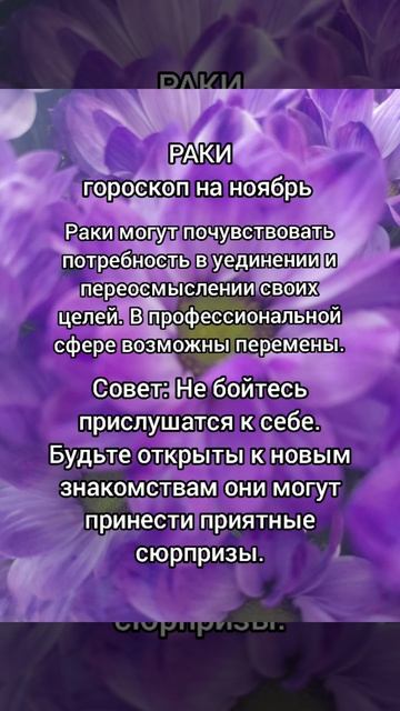 РАКИ гороскоп на ноябрь 2025