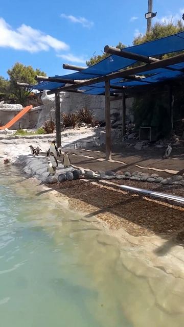 Воды бы глоток...