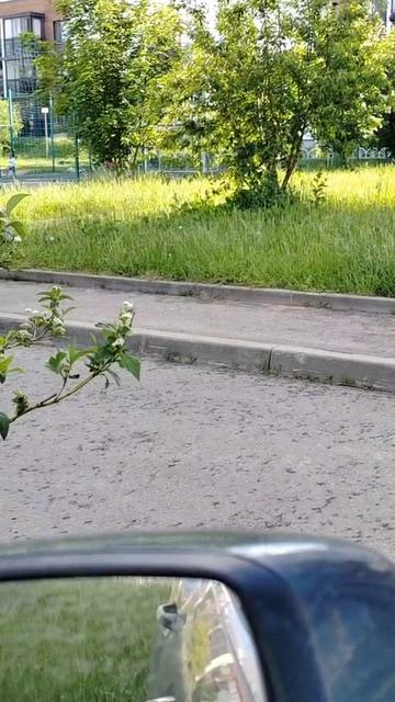 Металлический звук