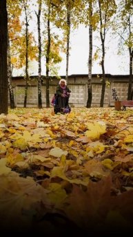 В гости пожаловал диковинный зверь!