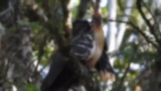 1000013988.mp4