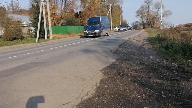 11.10.2025.Усадьба Парк Кино Ляхово. Парк Сибирских Кошек.Визитная карточка. Домодедово.Московская о