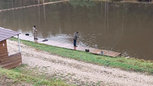 Forest Fishing 11.10.25