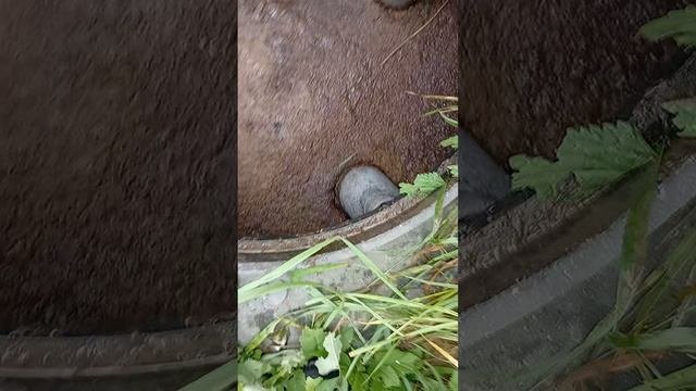 Септик в своем доме.
