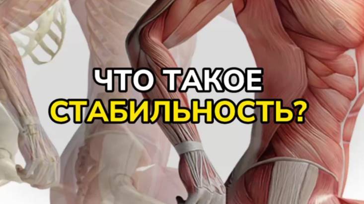 ЧТО ТАКОЕ СТАБИЛЬНОСТЬ? ЛЕКЦИЯ О БИОМЕХАНИКЕ ОТ ВРАЧА-РЕАБИЛИТОЛОГА