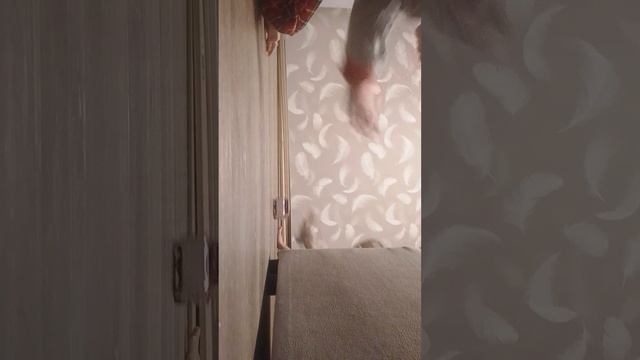 1000003951.mp4