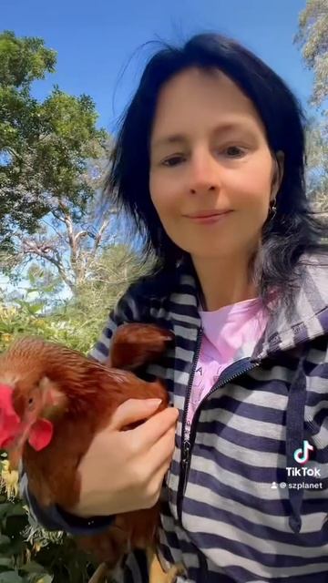 Курятник зацвел- готовится к моему дню рождения! #курятник #курицы #chickenlife #chickenlover #my