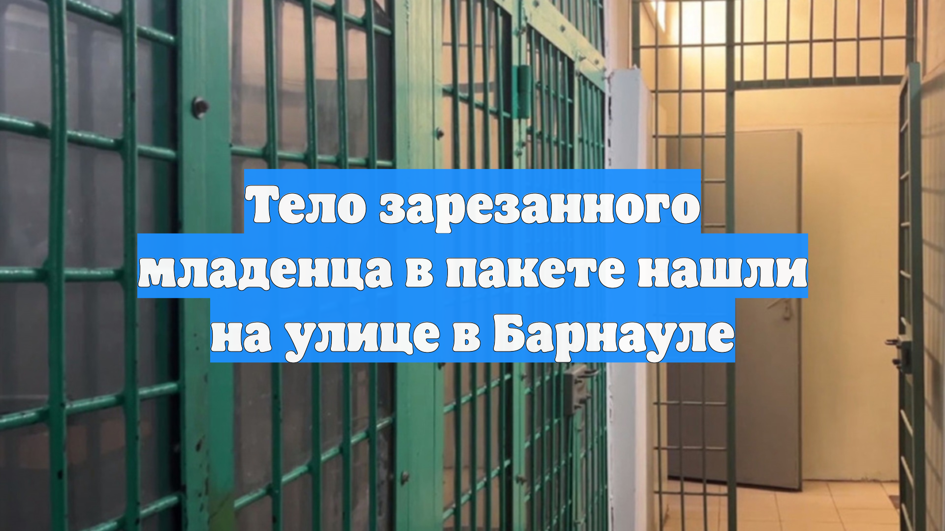 Тело зарезанного младенца в пакете нашли на улице в Барнауле