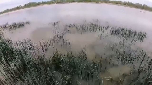 Видео от За Трофеем: Охота и Рыбалка