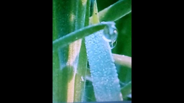 Библия и жизнь. Моя аудиокнига. Часть 7
