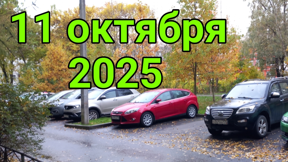 11 октября 2025. Магазинный вояж.