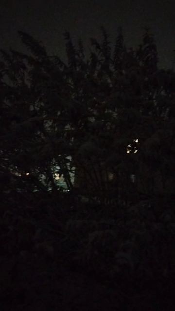 Октябрьский вечер