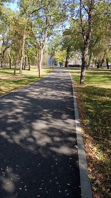 #самокатырулят