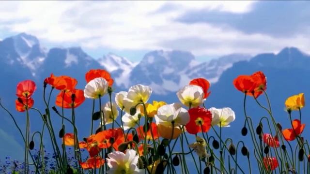 1. Организм восстанавливается сам - часть 1
