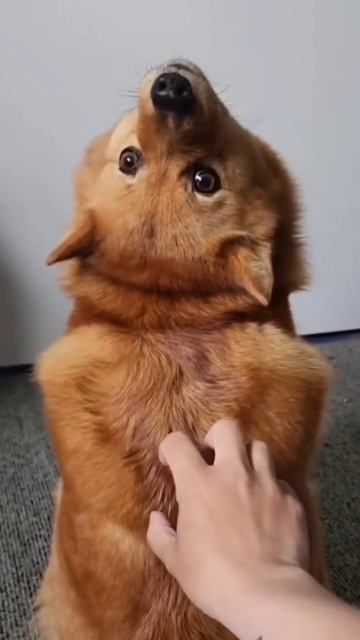 Ну чё тебе надо