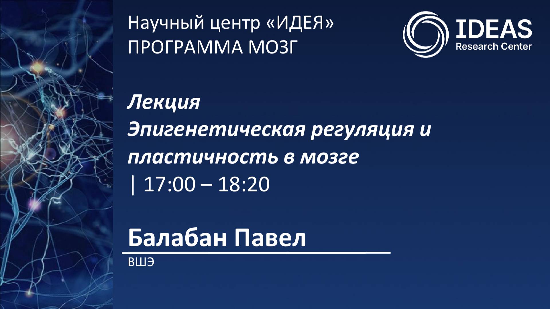 Эпигенетическая регуляция и пластичность в мозге