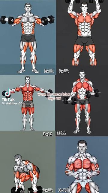 💪🏼УПРАЖНЕНИЙ С ГАНТЕЛЯМИ💪🏼 ДЛЯ ДОМА И ЗАЛА.../Все в твоих руках, действуй 🤜 🤛/-3