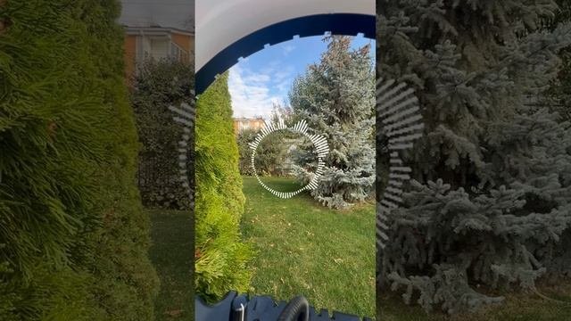 ФОКУС ВНИМАНИЯ создает твою ЖИЗНЬ МЕЧТЫ ⭐️