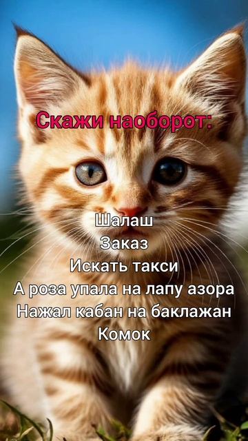 Скажи наоборот: