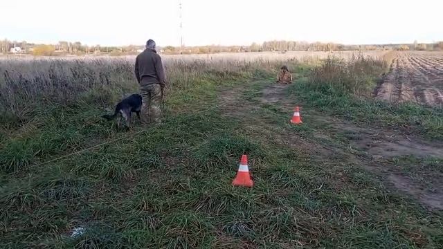ХНК Яра с КП 2025-10-11 в 18.09.10