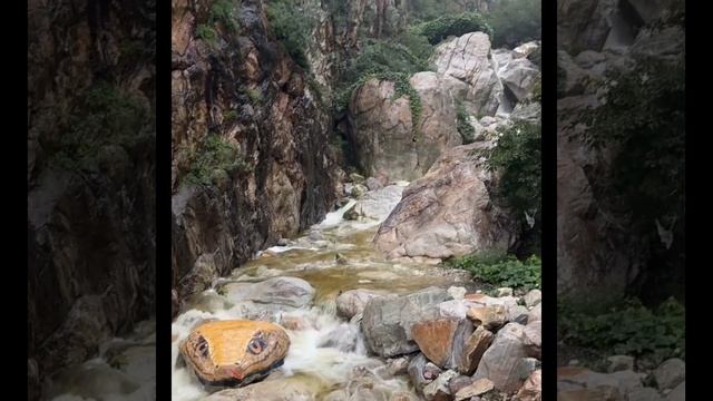 InShot_20251011_152728764.mp4