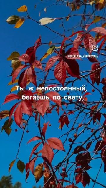 Осень- золотая пора🍁