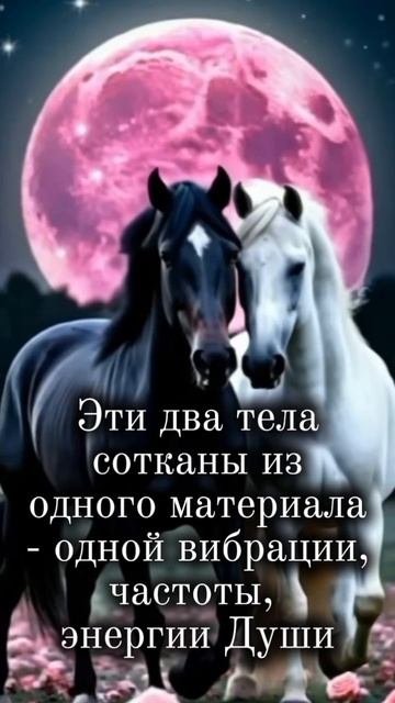 Близнецовые Пламена