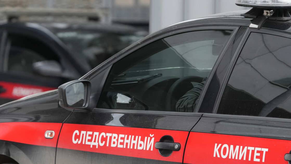 Тело зарезанного младенца в пакете нашли на улице в Барнауле