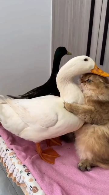 Давай я и тебя помою😍