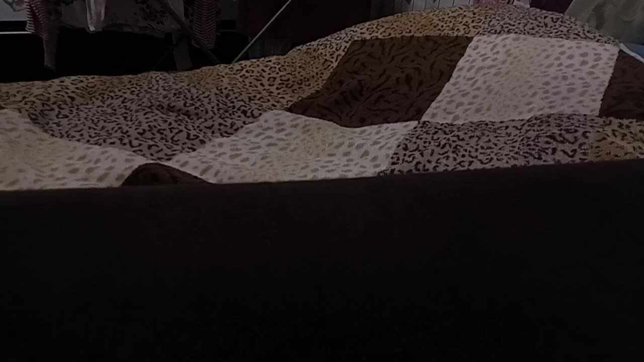 Test 2