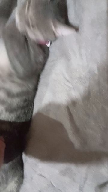 хочу бежать но не могу